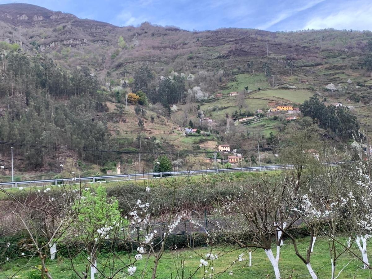 Casa Rural En Santa Cruz-Mieres Bustiello  Esterno foto