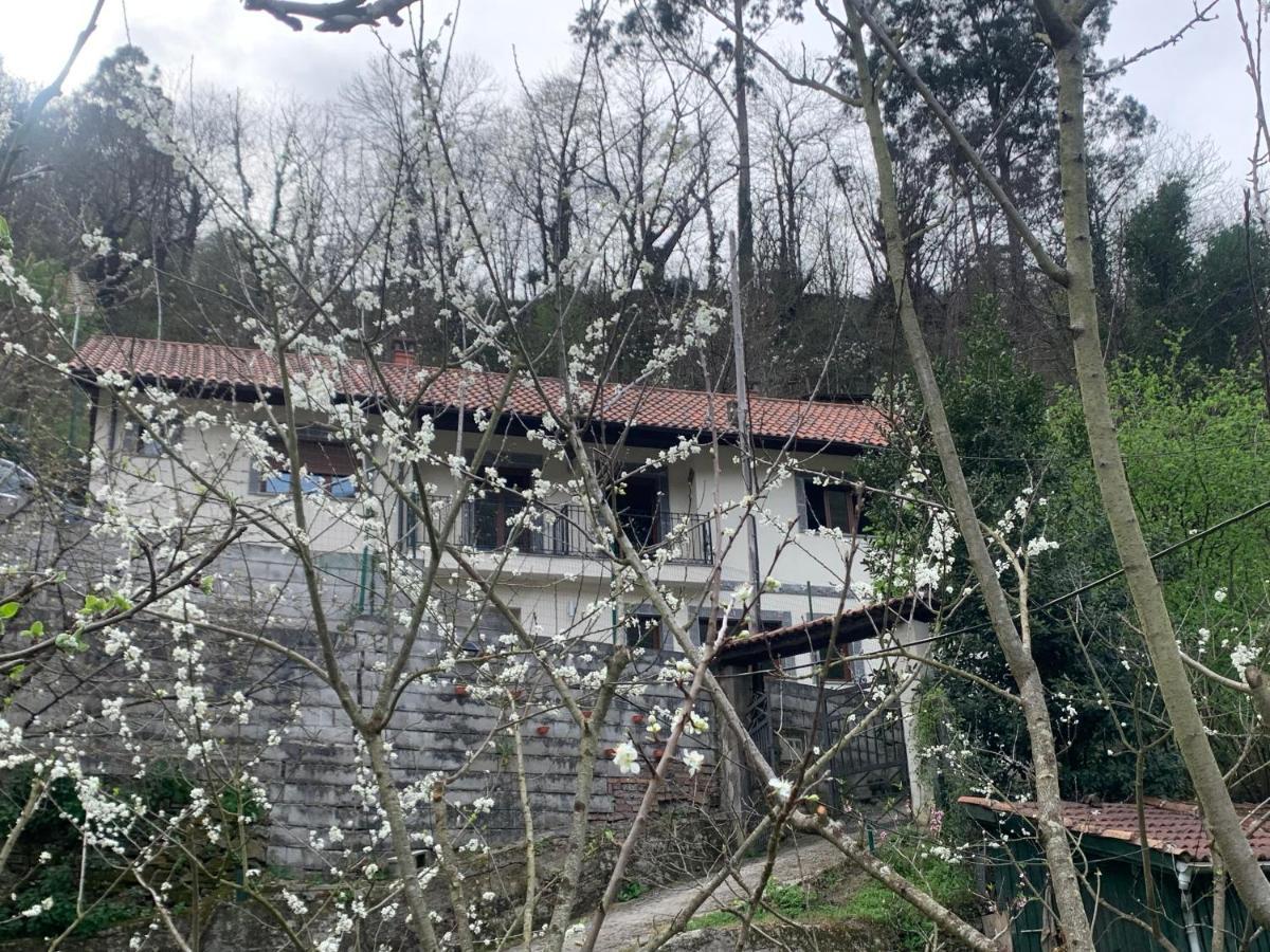 Casa Rural En Santa Cruz-Mieres Bustiello  Esterno foto