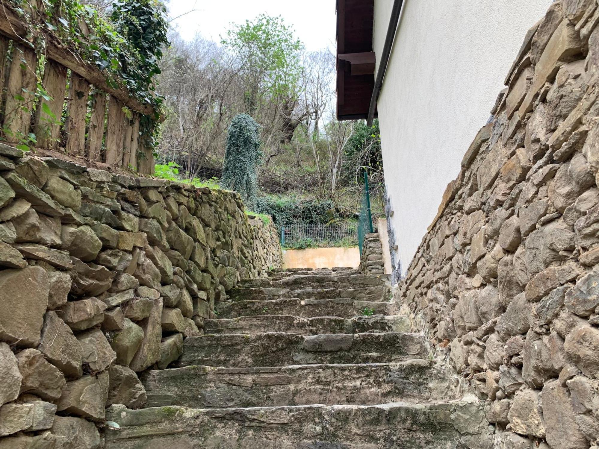 Casa Rural En Santa Cruz-Mieres Bustiello  Esterno foto